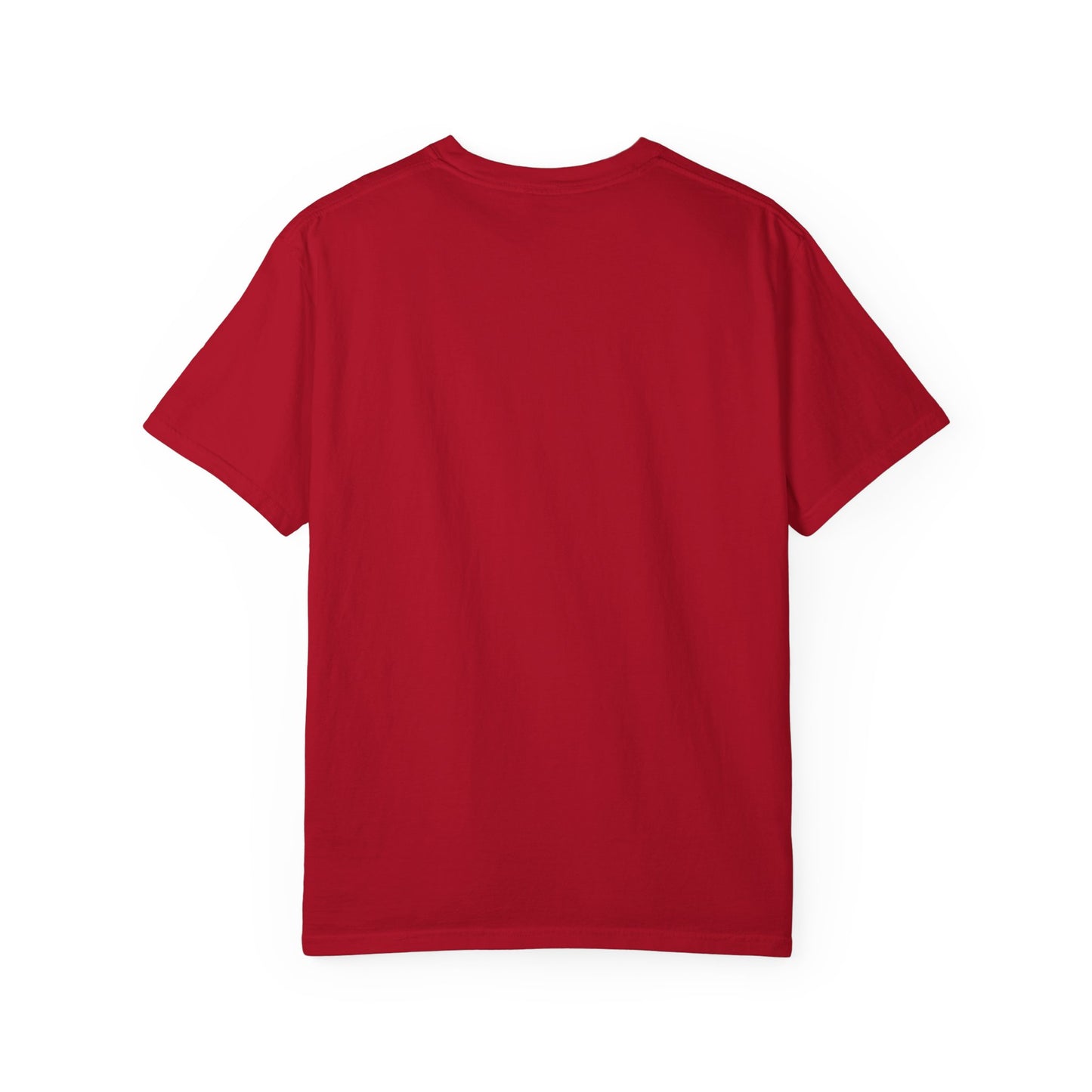 Freece Beach Life, Liberty & Longboards Surfer Tee – Patriotic Edition